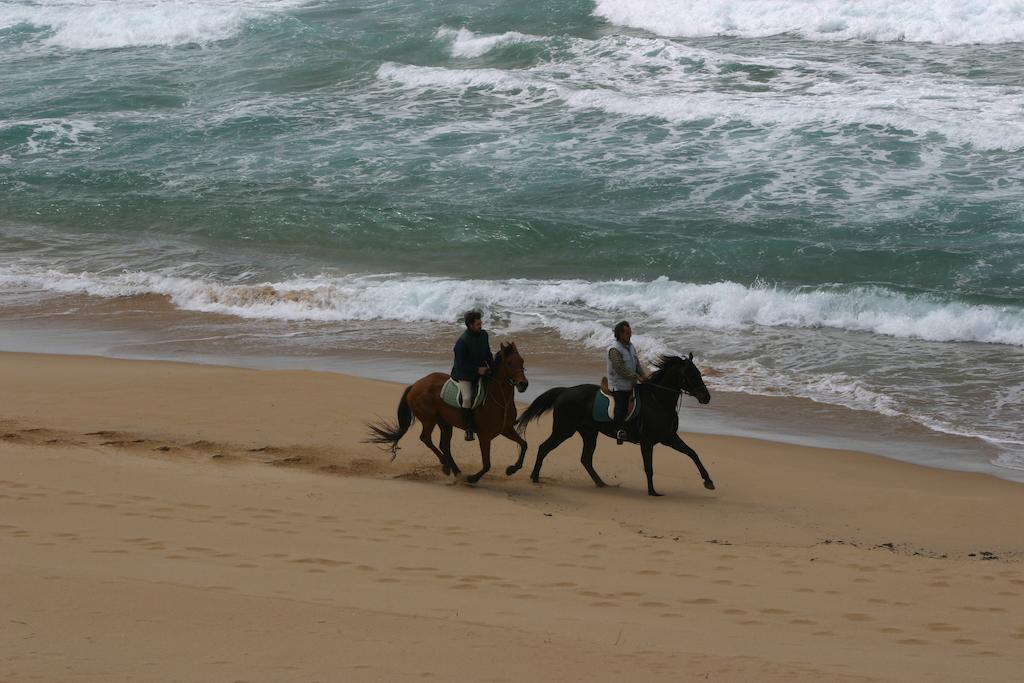 Centro Di Turismo Equestre Shangrila' Fluminimaggiore Εξωτερικό φωτογραφία