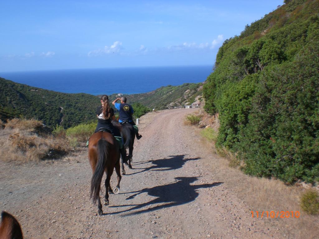 Centro Di Turismo Equestre Shangrila' Fluminimaggiore Εξωτερικό φωτογραφία